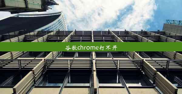 谷歌chrome打不开