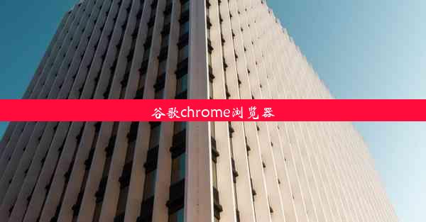 谷歌chrome浏览器