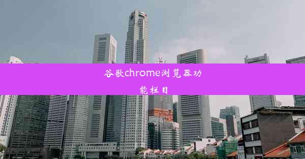 谷歌chrome浏览器功能栏目