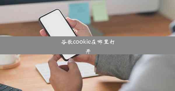 谷歌cookie在哪里打开