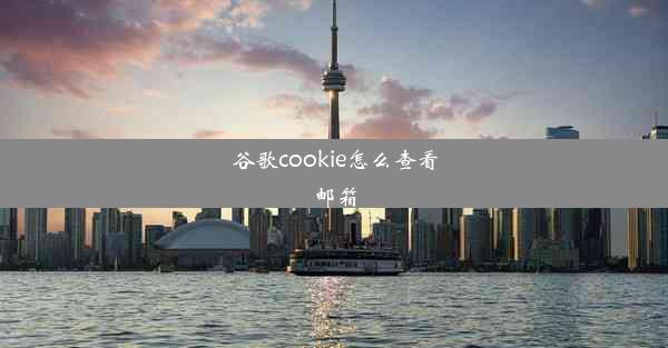 谷歌cookie怎么查看邮箱