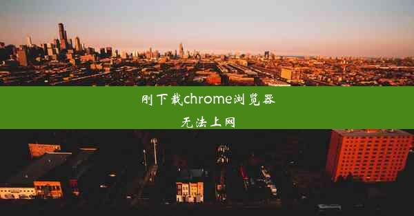 刚下载chrome浏览器无法上网