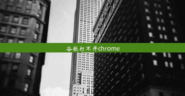 谷歌打不开chrome