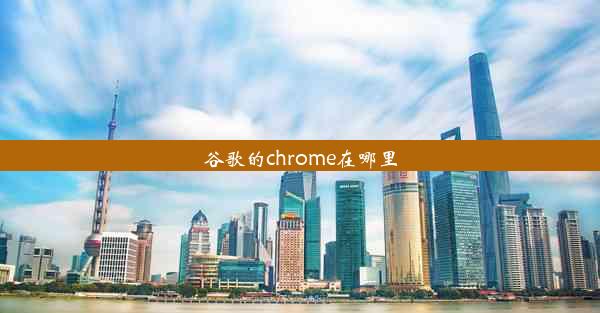 谷歌的chrome在哪里