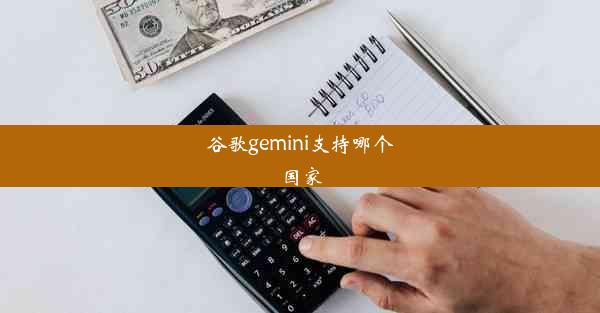 谷歌gemini支持哪个国家