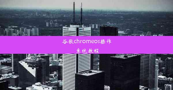 谷歌chromeos操作系统教程