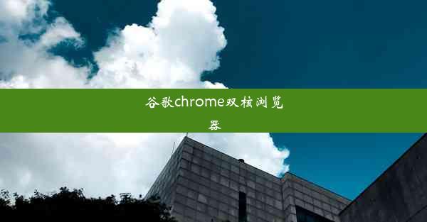 谷歌chrome双核浏览器