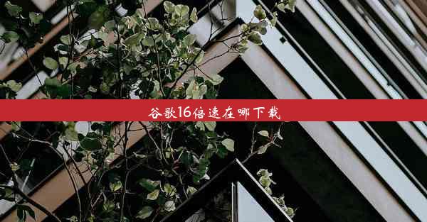 谷歌16倍速在哪下载