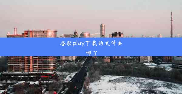 谷歌play下载的文件去哪了