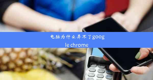 电脑为什么弄不了google chrome