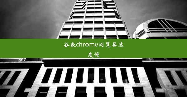 谷歌chrome浏览器速度慢