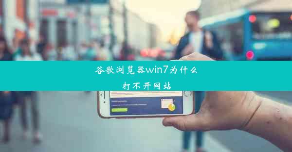 谷歌浏览器win7为什么打不开网站