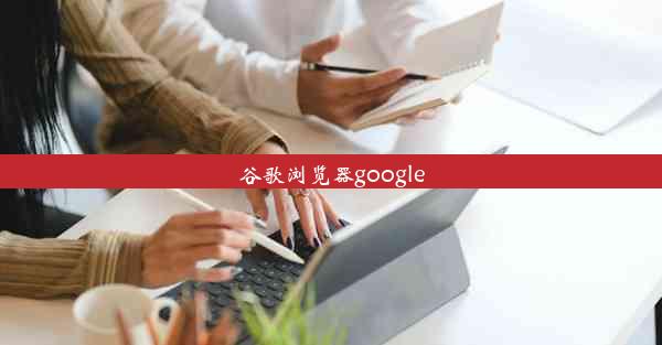 谷歌浏览器google