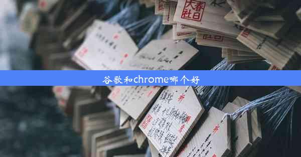 谷歌和chrome哪个好