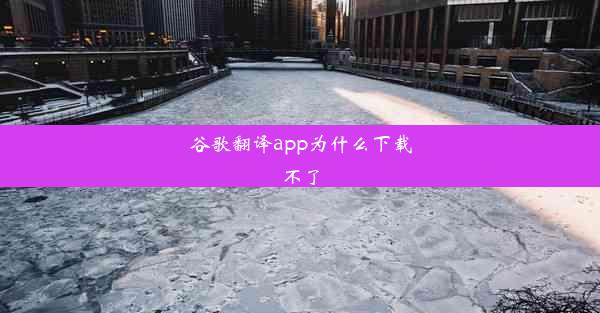 谷歌翻译app为什么下载不了