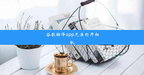 谷歌翻译app无法打开相机