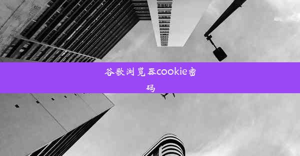 谷歌浏览器cookie密码