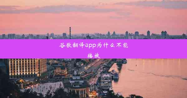 谷歌翻译app为什么不能播放