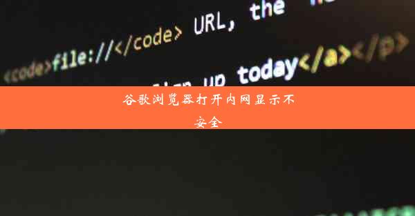 谷歌浏览器打开内网显示不安全