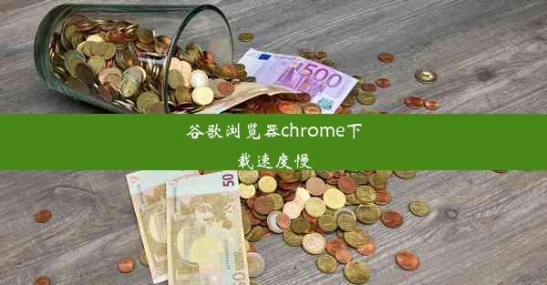 谷歌浏览器chrome下载速度慢