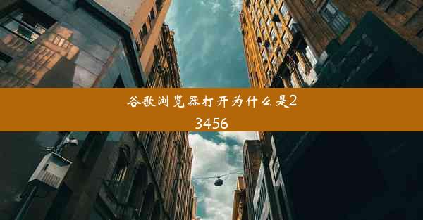 谷歌浏览器打开为什么是23456