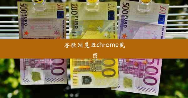 谷歌浏览器chrome截图