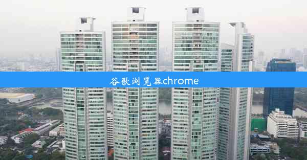 谷歌浏览器chrome