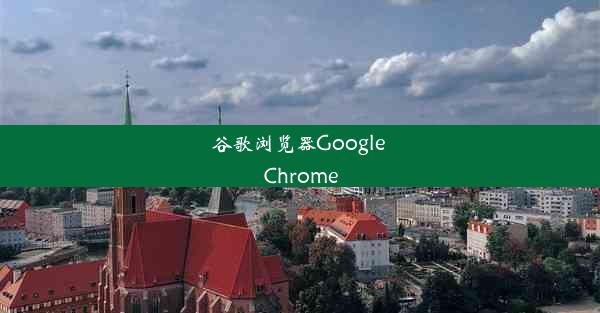 谷歌浏览器Google Chrome