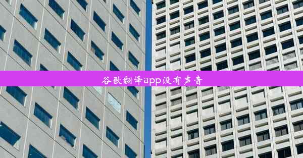 谷歌翻译app没有声音