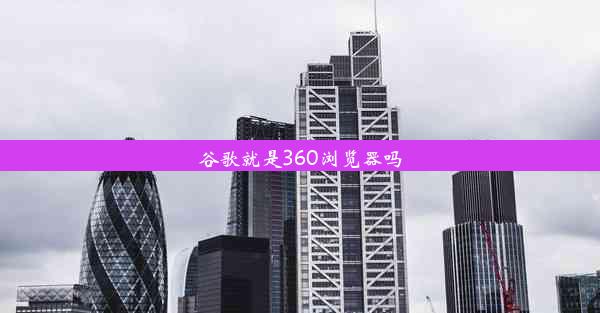 谷歌就是360浏览器吗